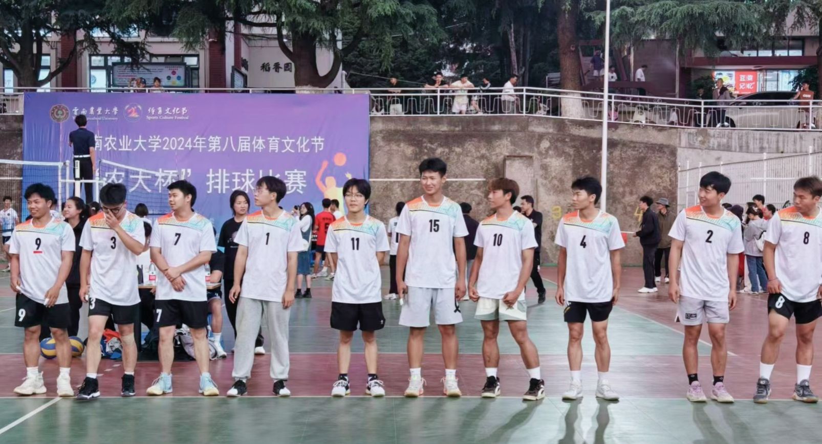 图示, 示意图 中度可信度描述已自动生成:ver1